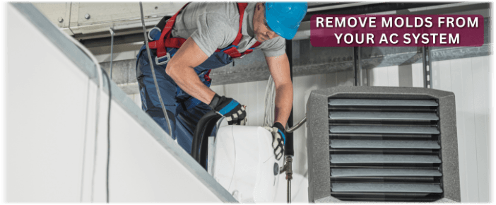 HVAC Mold Removal Royse City TX